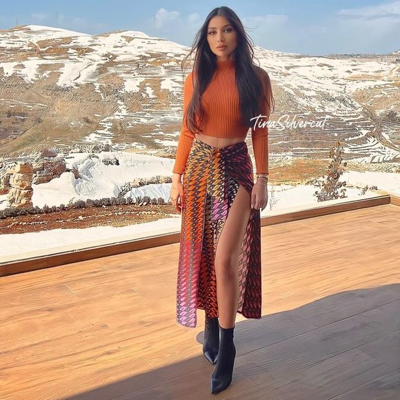 BLOGGER'S FAVE! Zara Printed Midi Skirt Sz Small NWT - Picture 3 of 17